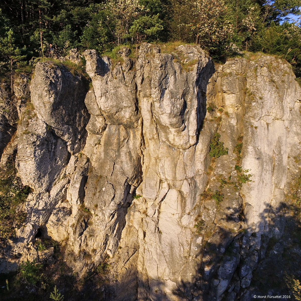 Röthelfels, Sektor Geiereck, Pleitegeier